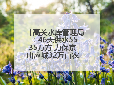 高关水库管理局：46天供水5535万方 力保京山应城32万亩农田“解渴”