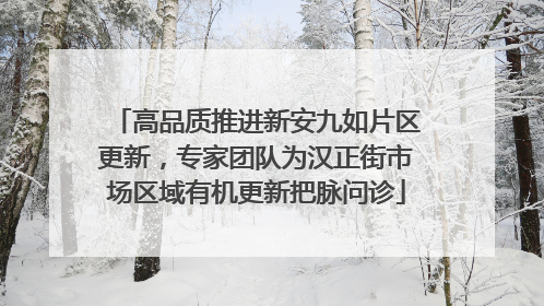 高品质推进新安九如片区更新，专家团队为汉正街市场区域有机更新把脉问诊