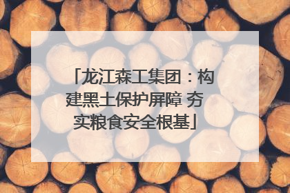 龙江森工集团：构建黑土保护屏障 夯实粮食安全根基