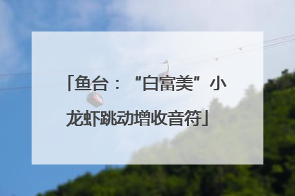 鱼台：“白富美”小龙虾跳动增收音符
