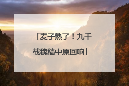 麦子熟了！九千载稼穑中原回响