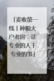 麦收第一线丨种粮大户老房：让专业的人干专业的事