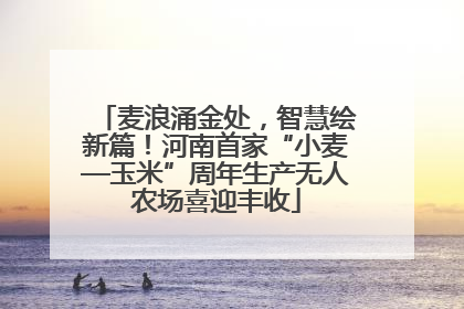麦浪涌金处，智慧绘新篇！河南首家“小麦—玉米”周年生产无人农场喜迎丰收