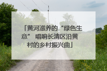 黄河滋养的“绿色生意” 唱响长清区沿黄村的乡村振兴曲