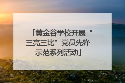 黄金谷学校开展“三亮三比”党员先锋示范系列活动