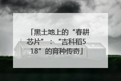 黑土地上的“春耕芯片”：“吉科稻518”的育种传奇