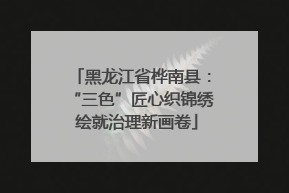 黑龙江省桦南县：“三色”匠心织锦绣 绘就治理新画卷