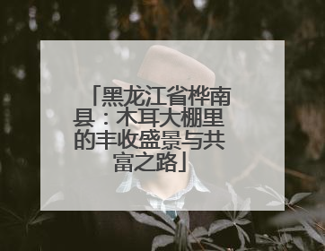 黑龙江省桦南县：木耳大棚里的丰收盛景与共富之路