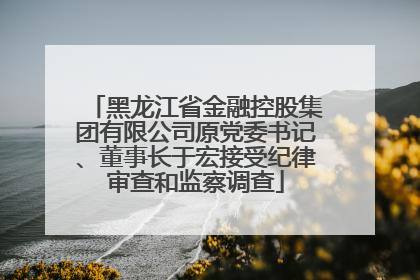 黑龙江省金融控股集团有限公司原党委书记、董事长于宏接受纪律审查和监察调查