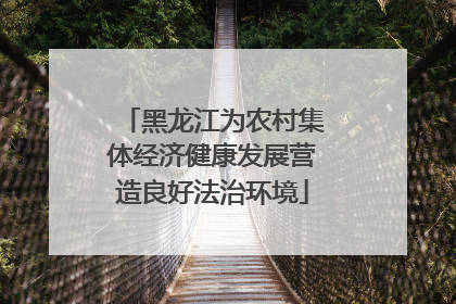 黑龙江为农村集体经济健康发展营造良好法治环境