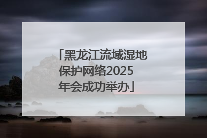 黑龙江流域湿地保护网络2025年会成功举办