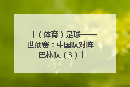 （体育）足球——世预赛：中国队对阵巴林队（3）