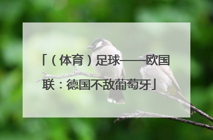 （体育）足球——欧国联：德国不敌葡萄牙