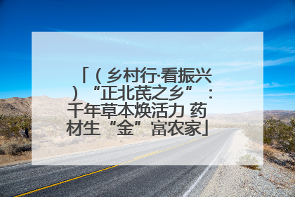 （乡村行·看振兴）“正北芪之乡”：千年草本焕活力 药材生“金”富农家
