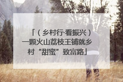 （乡村行·看振兴）一颗火山荔枝王铺就乡村“甜蜜”致富路