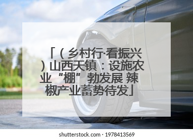 （乡村行·看振兴）山西天镇：设施农业“棚”勃发展 辣椒产业蓄势待发