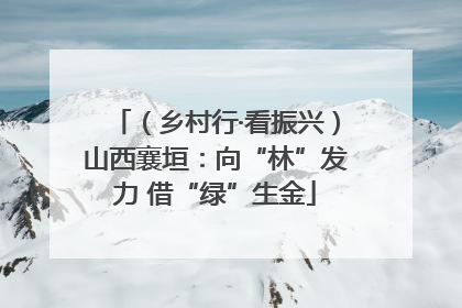 （乡村行·看振兴）山西襄垣：向“林”发力 借“绿”生金