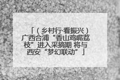 （乡村行·看振兴）广西合浦“香山鸡嘴荔枝”进入采摘期 将与西安“梦幻联动”