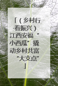（乡村行·看振兴）江西安福“小西瓜”撬动乡村共富“大支点”