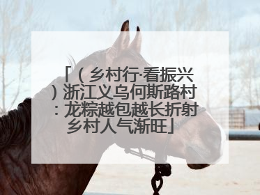 （乡村行·看振兴）浙江义乌何斯路村：龙粽越包越长折射乡村人气渐旺