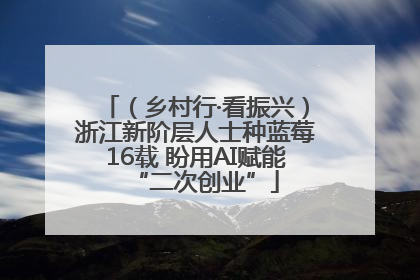 （乡村行·看振兴）浙江新阶层人士种蓝莓16载 盼用AI赋能“二次创业”