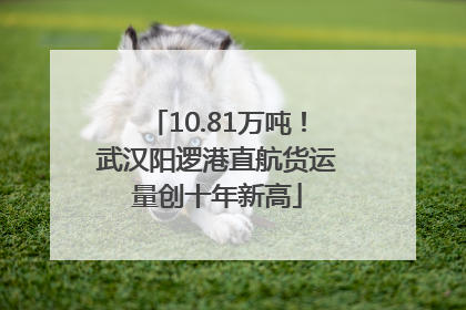 10.81万吨！武汉阳逻港直航货运量创十年新高