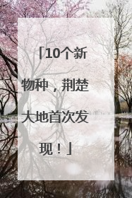 10个新物种，荆楚大地首次发现！