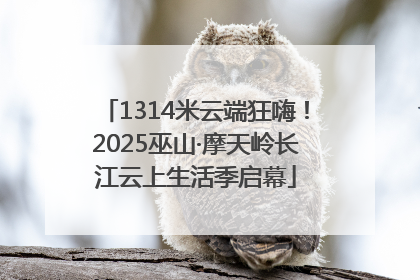 1314米云端狂嗨！2025巫山·摩天岭长江云上生活季启幕