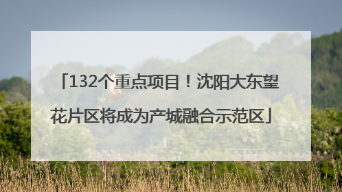 132个重点项目！沈阳大东望花片区将成为产城融合示范区