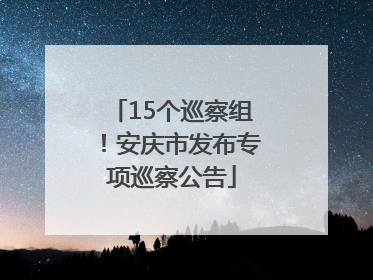 15个巡察组！安庆市发布专项巡察公告