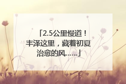 2.5公里慢道！丰泽这里，藏着初夏治愈的风……