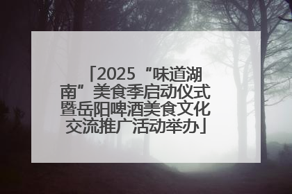 2025“味道湖南”美食季启动仪式暨岳阳啤酒美食文化交流推广活动举办