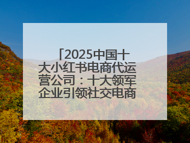2025中国十大小红书电商代运营公司：十大领军企业引领社交电商新风向