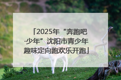 2025年“奔跑吧·少年”沈阳市青少年趣味定向跑欢乐开跑