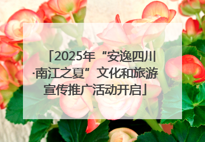 2025年“安逸四川·南江之夏”文化和旅游宣传推广活动开启