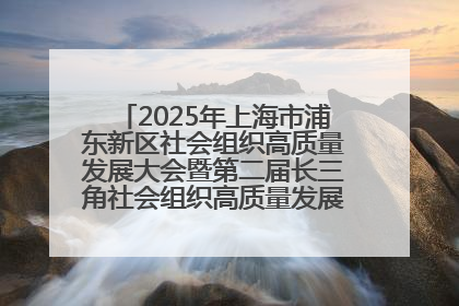 2025年上海市浦东新区社会组织高质量发展大会暨第二届长三角社会组织高质量发展峰会成功举办