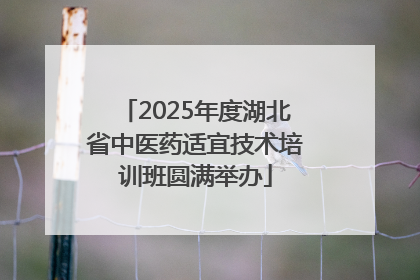 2025年度湖北省中医药适宜技术培训班圆满举办