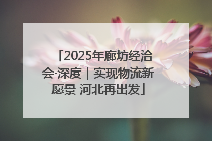 2025年廊坊经洽会·深度｜实现物流新愿景 河北再出发