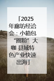 2025年廊坊经洽会：小箱包“圈粉”大咖 县域特色产业快速出海