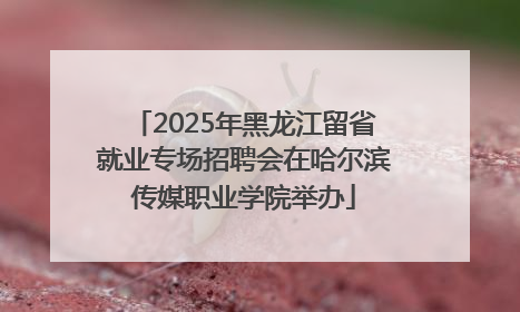 2025年黑龙江留省就业专场招聘会在哈尔滨传媒职业学院举办