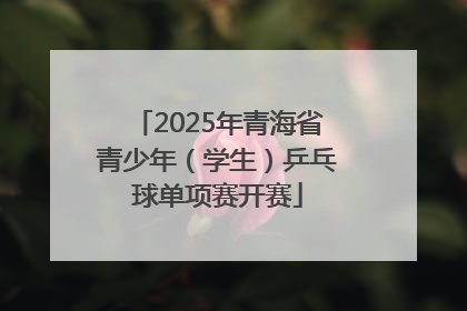 2025年青海省青少年（学生）乒乓球单项赛开赛