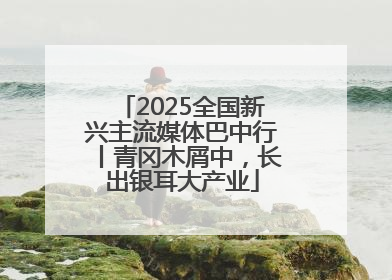 2025全国新兴主流媒体巴中行丨青冈木屑中，长出银耳大产业