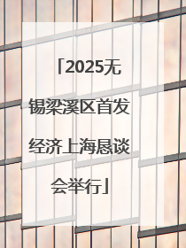 2025无锡梁溪区首发经济上海恳谈会举行