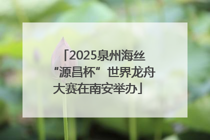 2025泉州海丝“源昌杯”世界龙舟大赛在南安举办