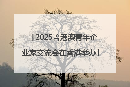 2025鲁港澳青年企业家交流会在香港举办