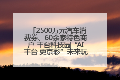 2500万元汽车消费券、60余家特色商户 丰台科技园“AI丰台 更京彩”未来玩家市集活动正式开幕