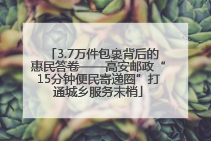3.7万件包裹背后的惠民答卷——高安邮政“15分钟便民寄递圈”打通城乡服务末梢