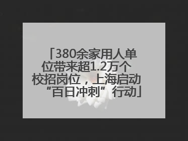 380余家用人单位带来超1.2万个校招岗位，上海启动“百日冲刺”行动