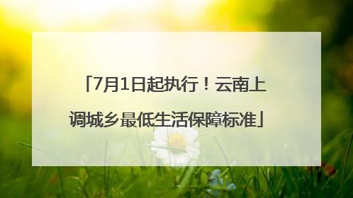 7月1日起执行！云南上调城乡最低生活保障标准