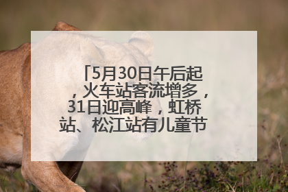 5月30日午后起，火车站客流增多，31日迎高峰，虹桥站、松江站有儿童节和端午亲子活动